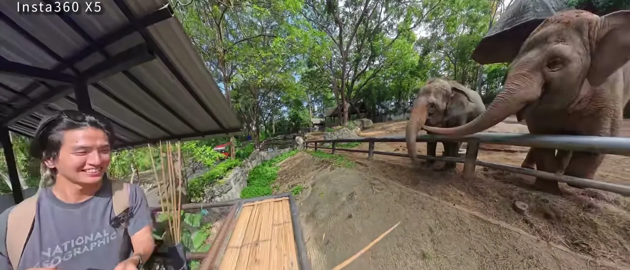 清邁動物園的大象展區與參觀平台