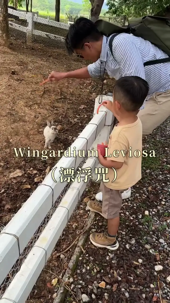 家人在 Singha Park 的動物區互動