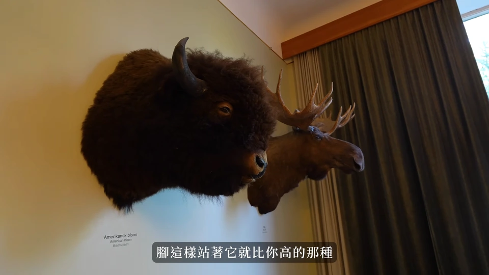 館內動物標本與展示