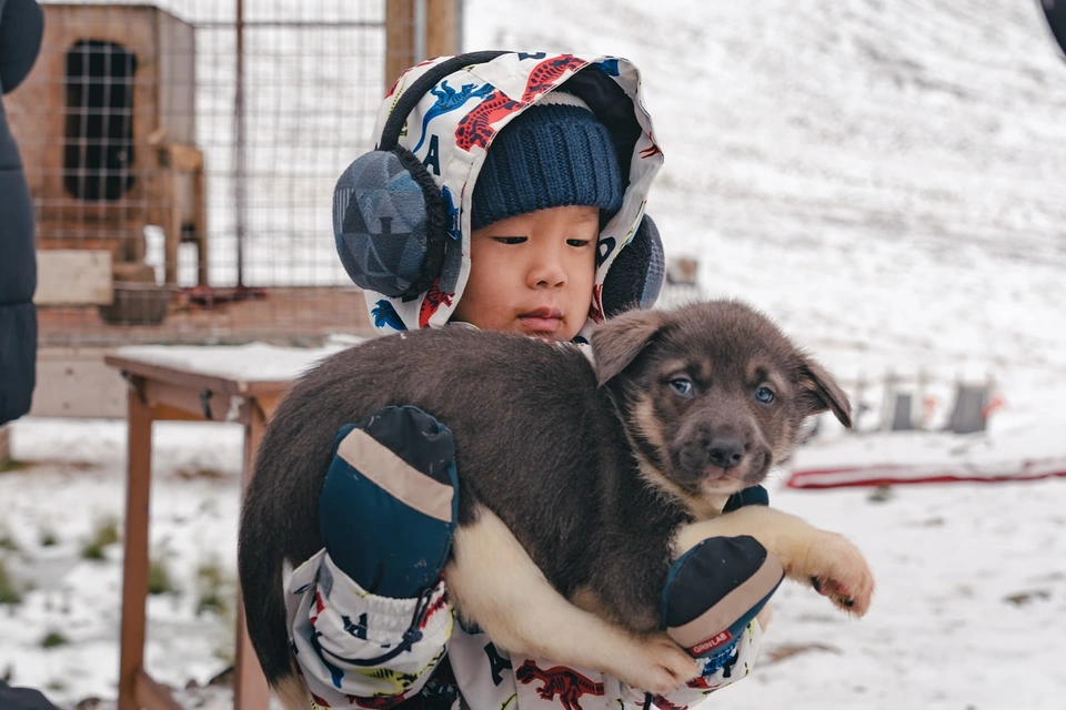 孩子抱著一隻幼犬