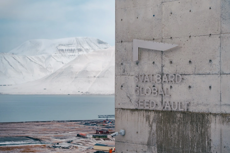 入口牆上的 Svalbard Global Seed Vault 字樣,後方是海灣和山