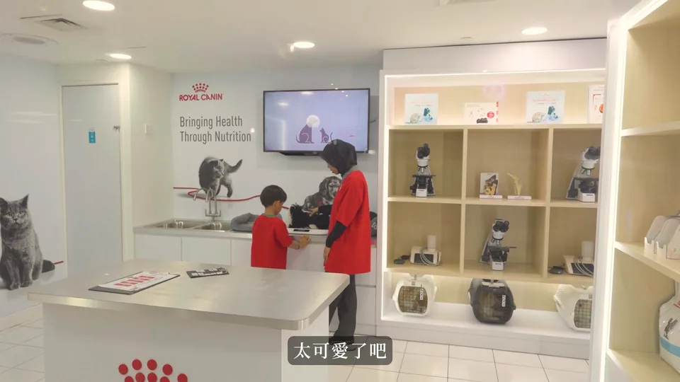 孩子穿上制服，參加寵物主題體驗。