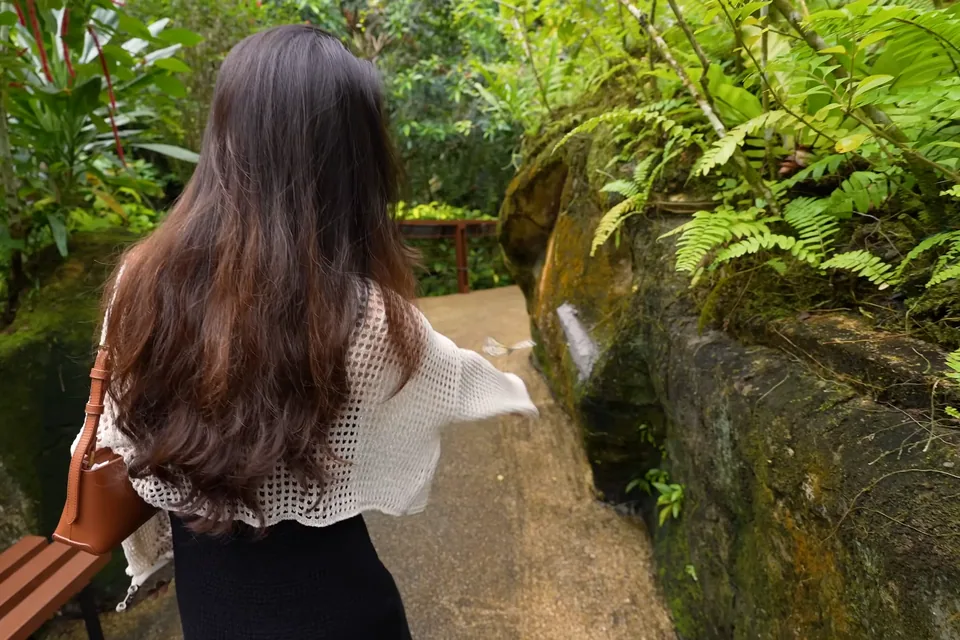 溫室內的植栽、水景與步道