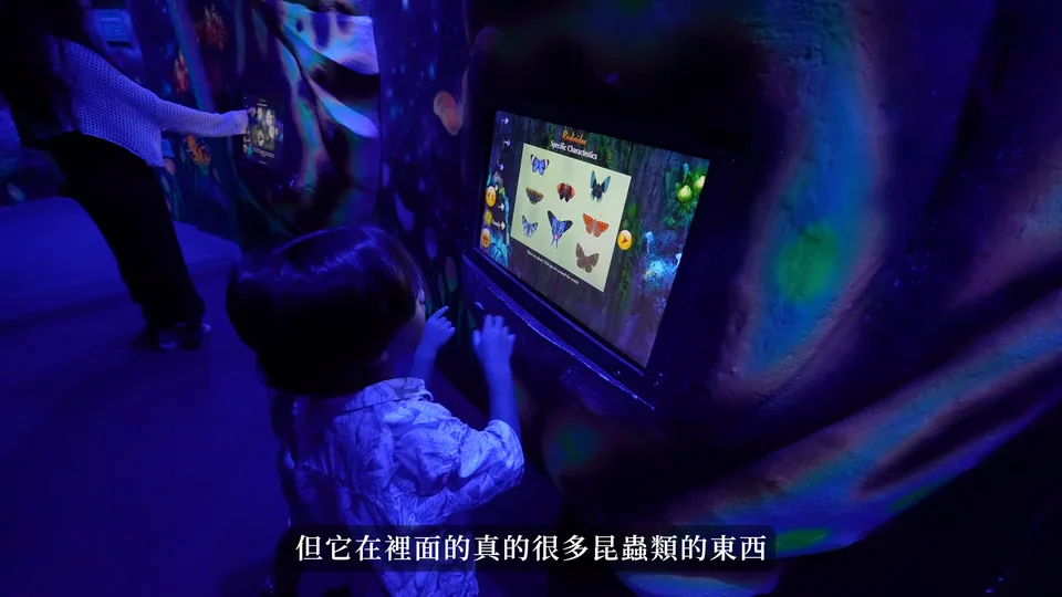 孩子操作蝴蝶主題互動螢幕