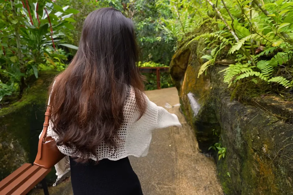 蝴蝶園內的植栽、水景與步道