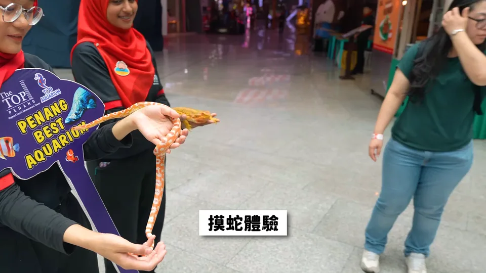 Penang Boutique Aquarium標示前的動物觸摸展示