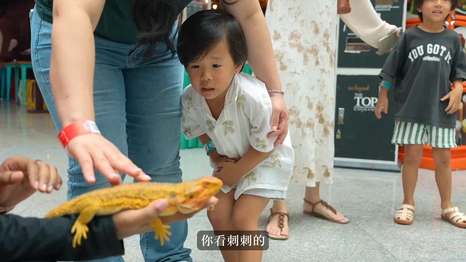 較小孩子靠近展示動物
