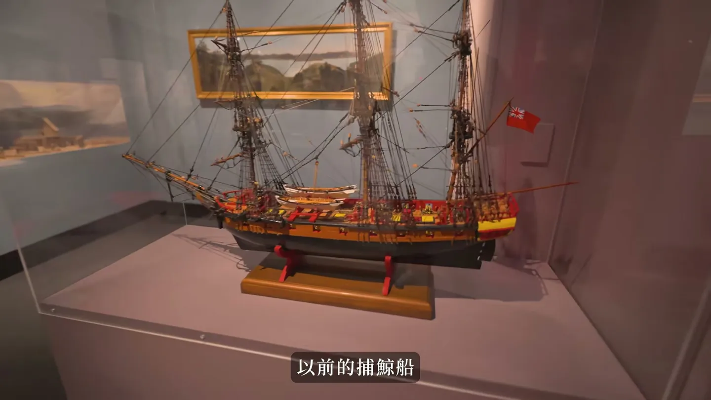 Akaroa Museum 裡的模型船與展品