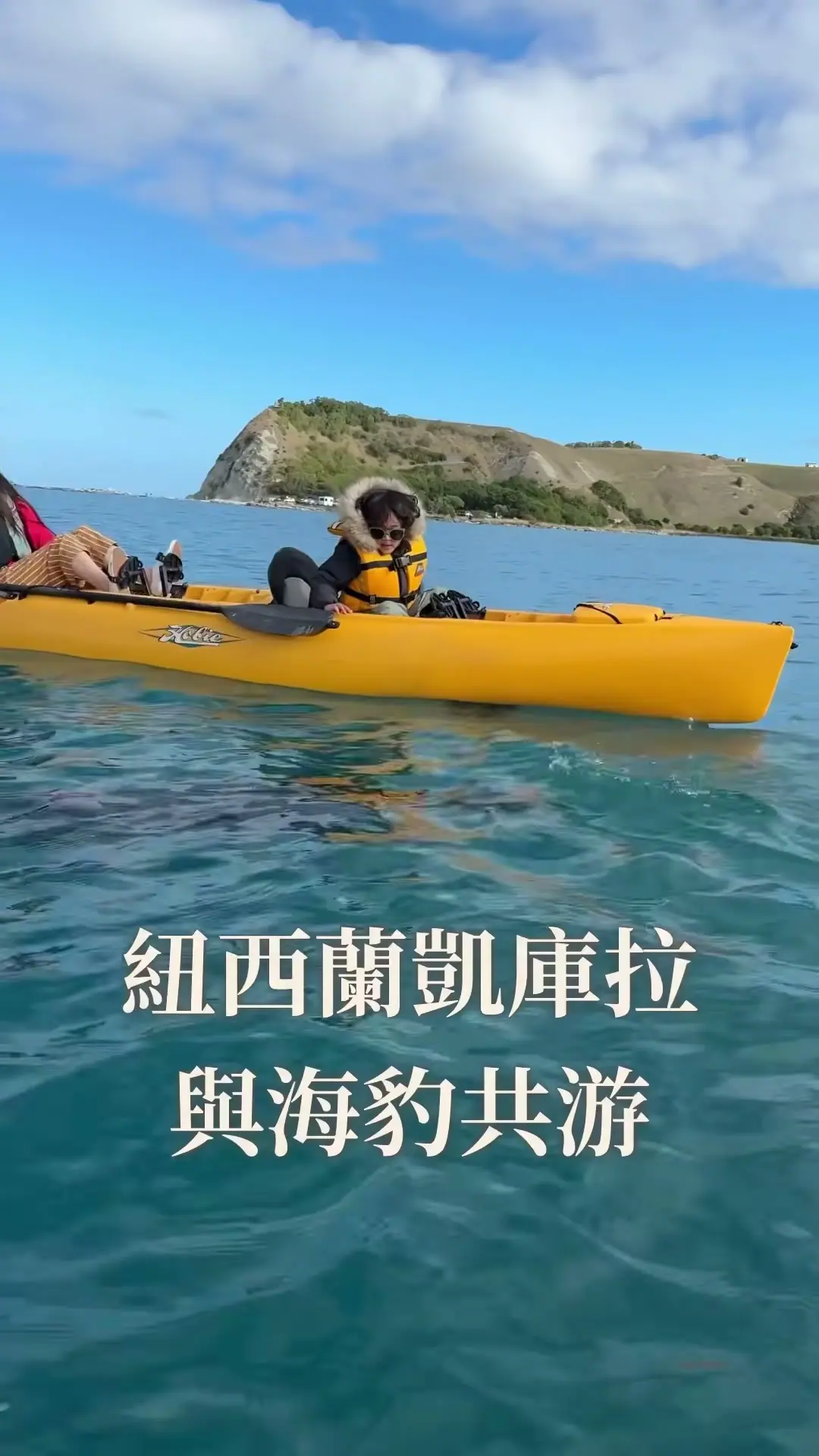 黃色皮划艇上的家人在 Kaikōura 海面同行