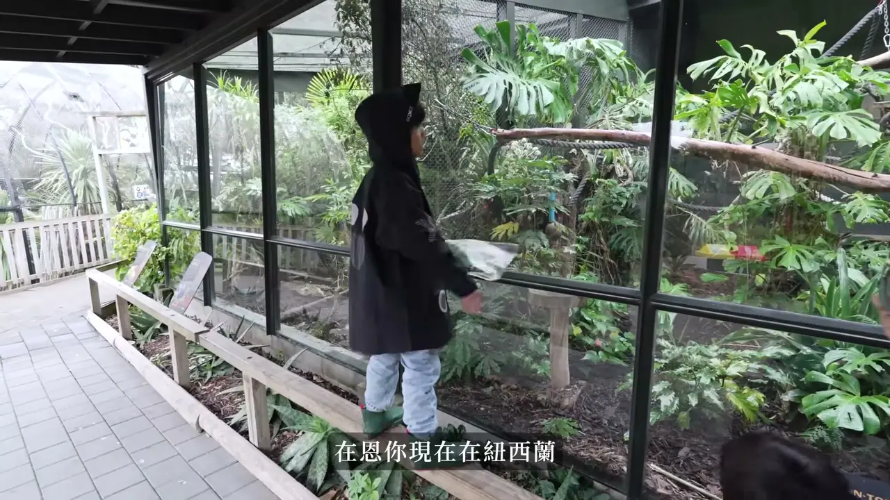孩子在 Hamilton Zoo 玻璃展區前觀察