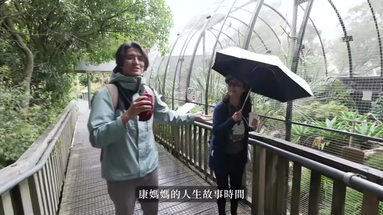 家人在 Hamilton Zoo 的網籠旁木棧道避雨參觀