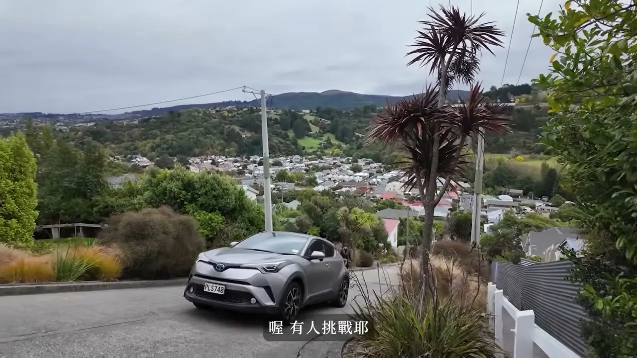從 Baldwin Street 高處看向住宅與遠方城景