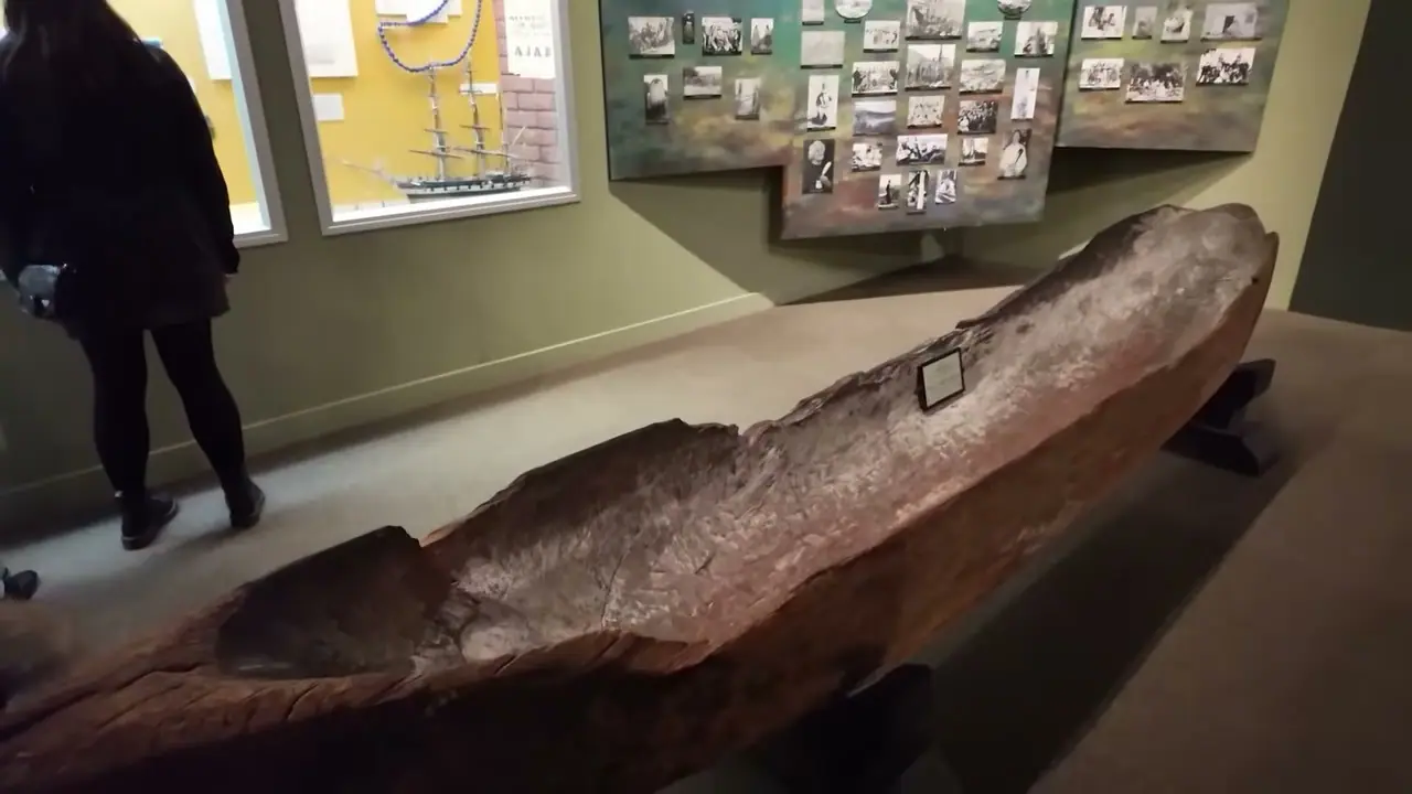 Otago Museum 室內展出的長形木製展品與牆面資料