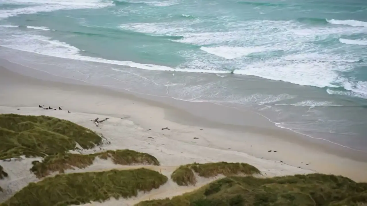 從高處俯看 Sandfly Bay 沙丘、沙灘與海浪
