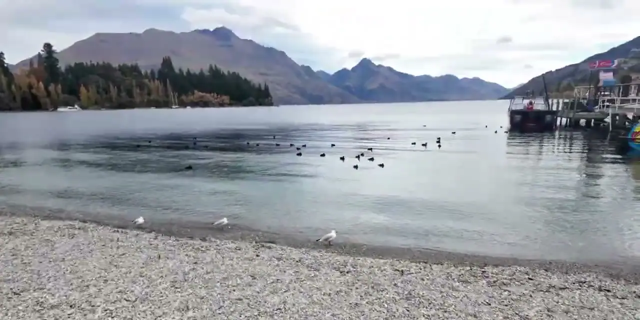 皇后鎮湖畔遠眺瓦卡蒂普湖、群山與岸邊水鳥