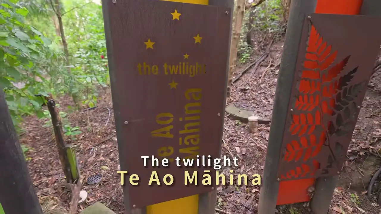 Wellington Zoo 的 Te Ao Māhina 夜行展區入口