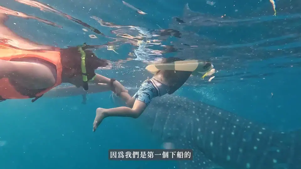 成人與孩子在水下,周圍是藍色海水。