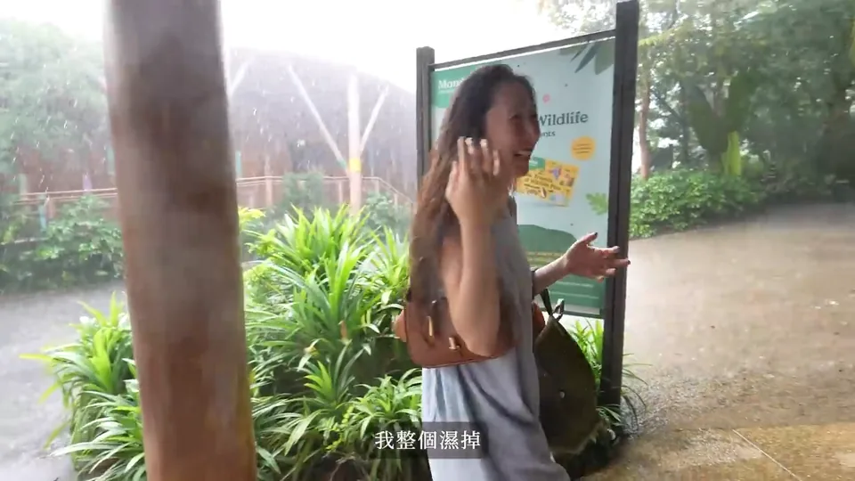 秀秀站在動物園步道旁避雨,身後的地面被雨水打濕。