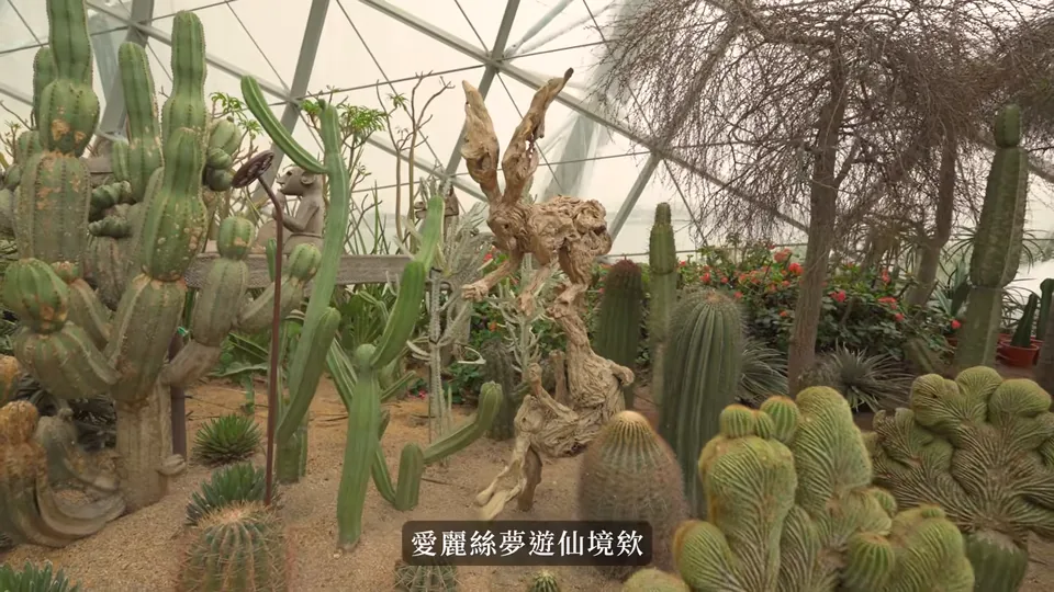 花穹裡有柱狀、球狀等不同形狀的仙人掌與木雕,上方是玻璃屋頂。