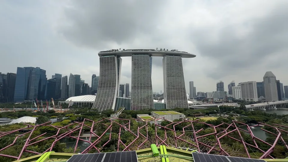 從擎天樹觀景台看濱海灣金沙與城市,前景有粉紅色的樹冠結構。